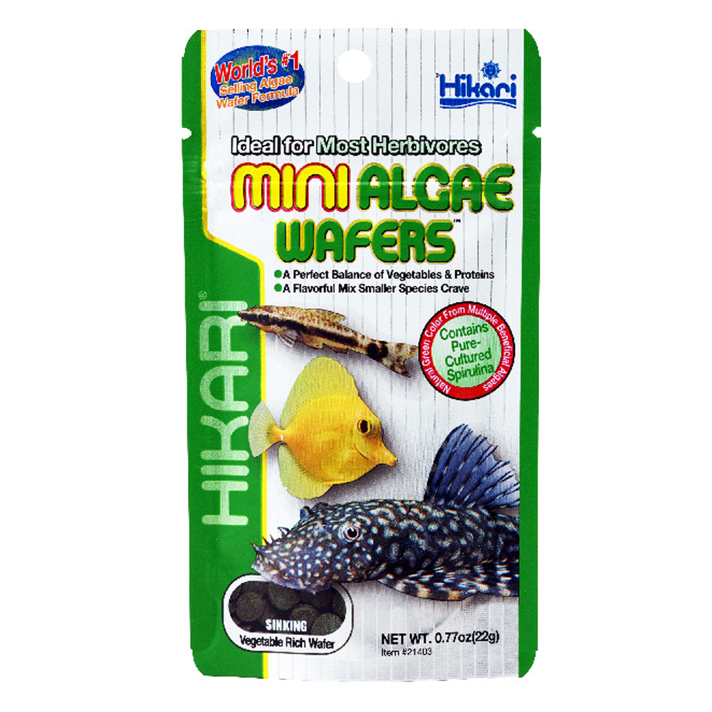 Hikari Mini Algae Wafers Herbivores Fish Food for Fish Supplies